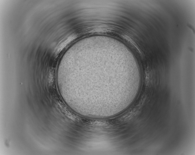 X0000102390874200808221822