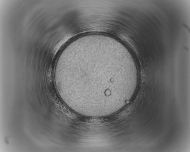 X0000102390875200808221822