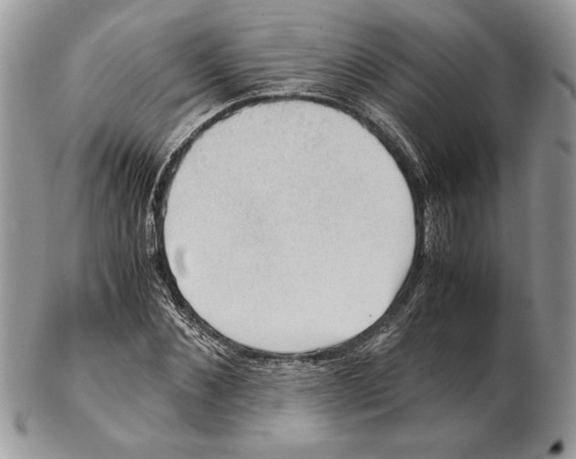 X0000102390876200808221822