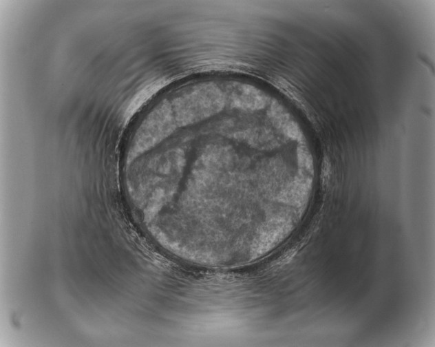 X0000102390877200808221822