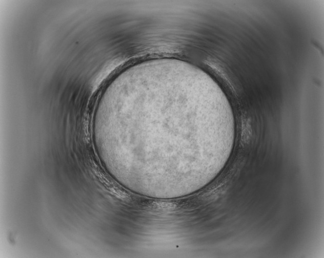 X0000102390878200808221822