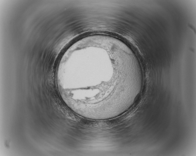 X0000102390879200808221822