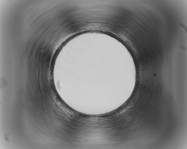 X0000102390880200808221822