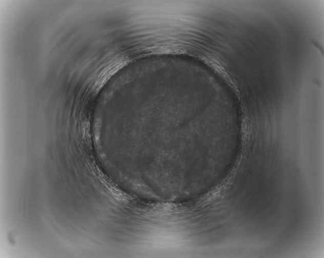 X0000102390881200808221822