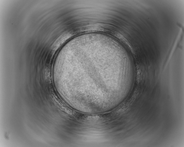 X0000102390882200808221822