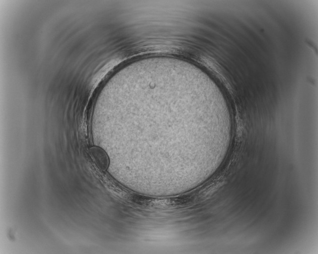 X0000102390883200808221822