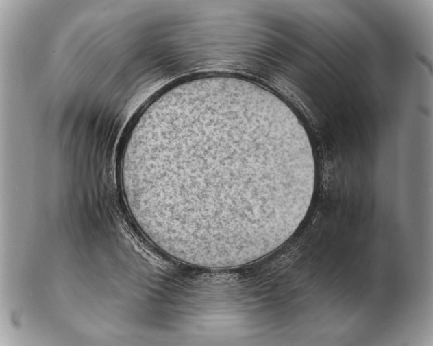 X0000102390884200808221822