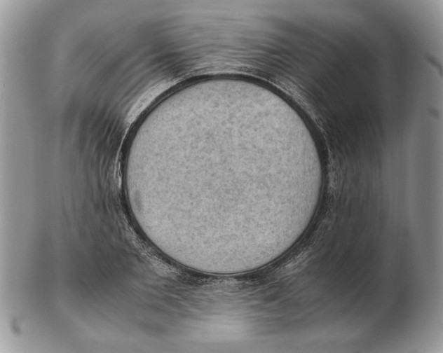 X0000102390885200808221822