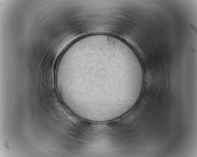 X0000102390886200808221822