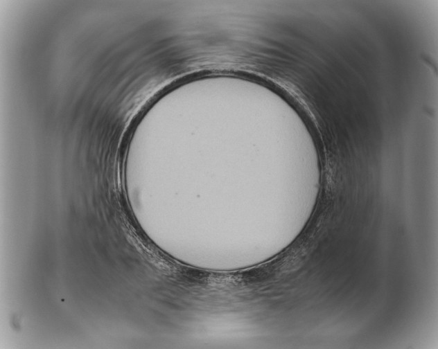 X0000102390887200808221822