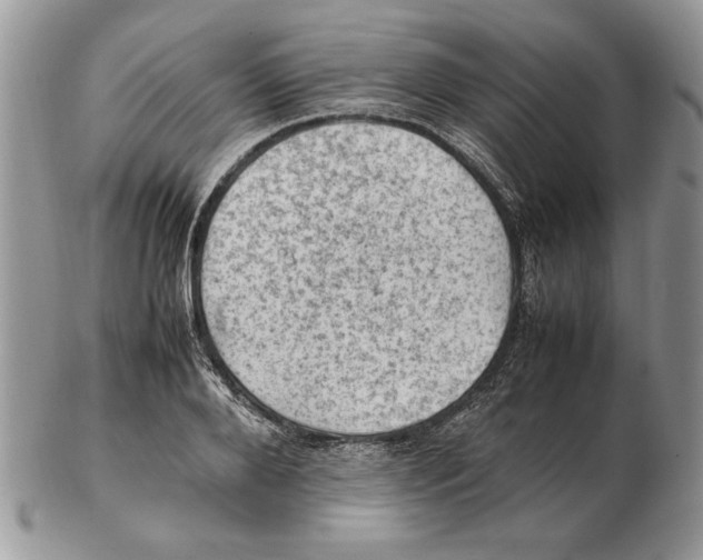 X0000102390888200808221822