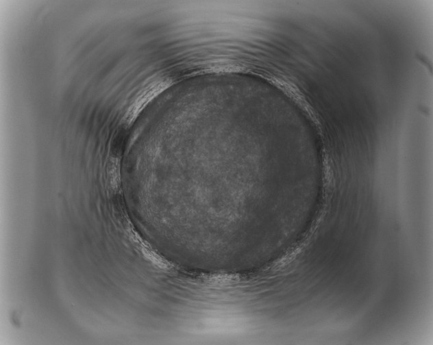 X0000102390889200808221822