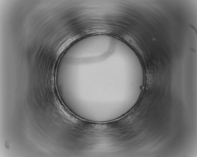 X0000102390890200808221822