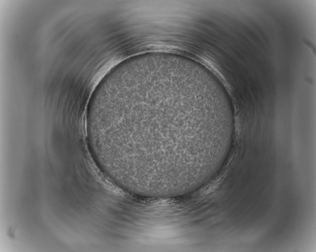 X0000102390891200808221822