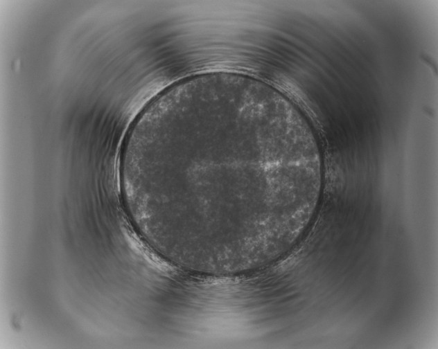 X0000102390892200808221822