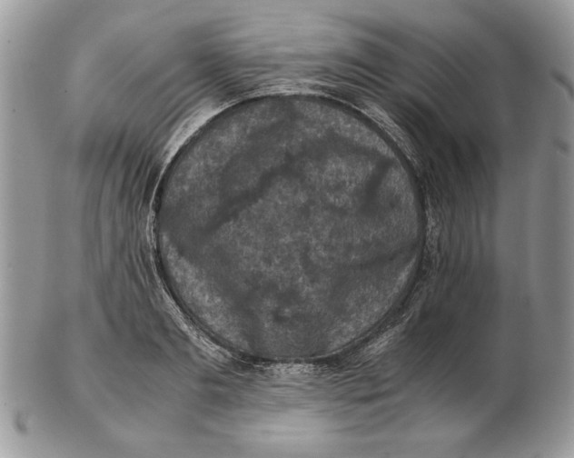 X0000102390893200808221822