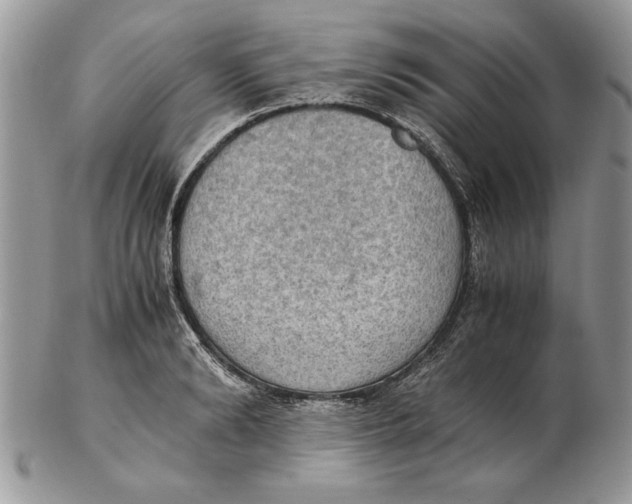 X0000102390894200808221822