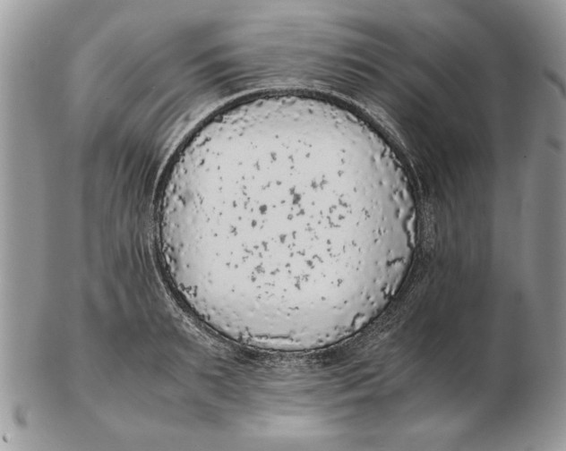 X0000102390895200808221822