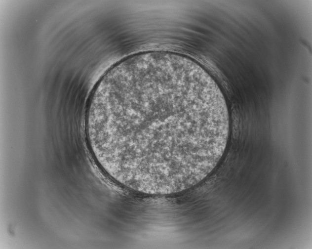 X0000102390896200808221822