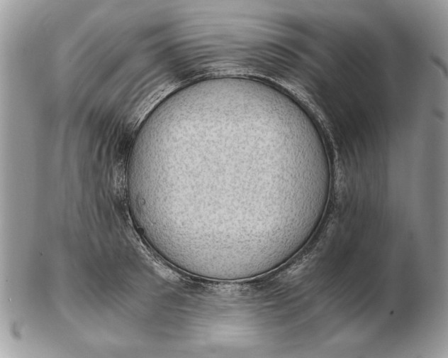 X0000102390897200808221822