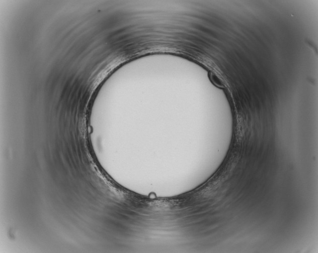 X0000102390898200808221822