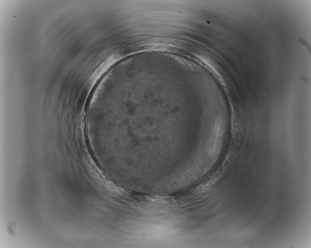 X0000102390899200808221822