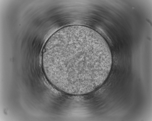 X0000102390900200808221822