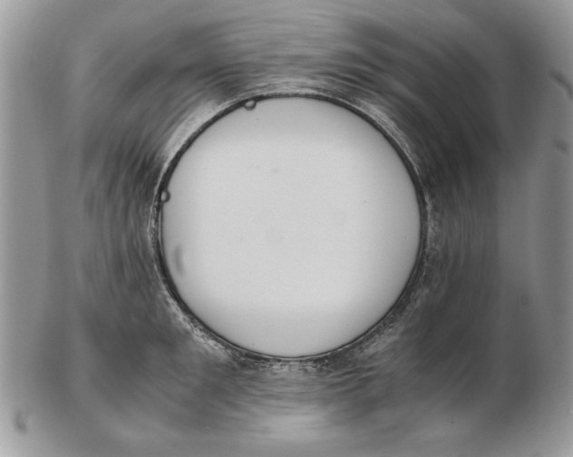 X0000102390901200808221822