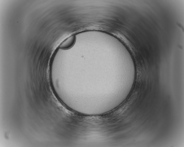 X0000102390902200808221822