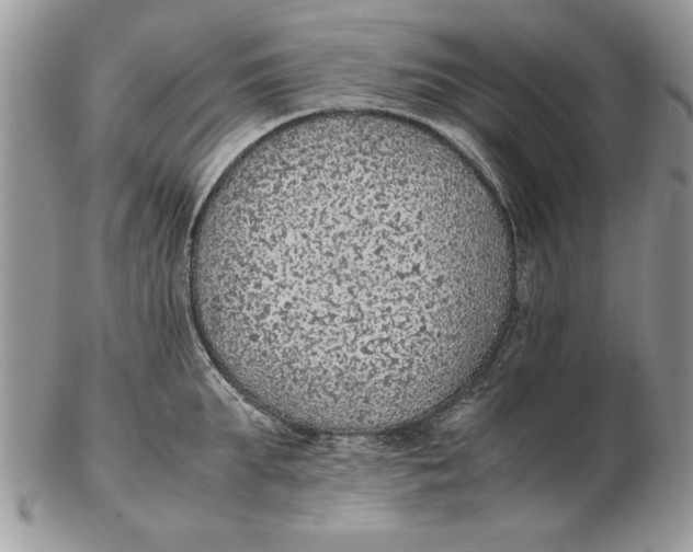 X0000102390903200808221822