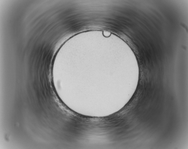 X0000102390904200808221822