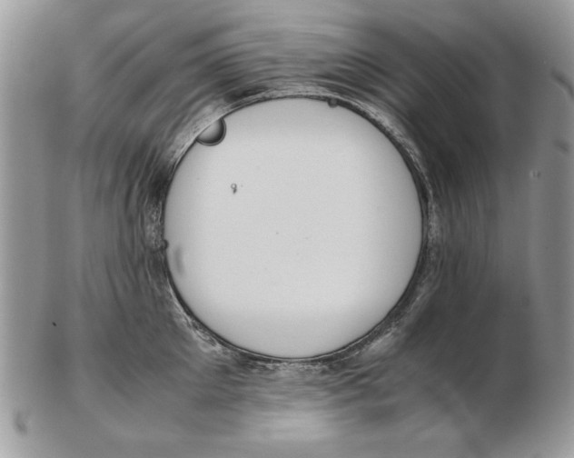 X0000102390905200808221822