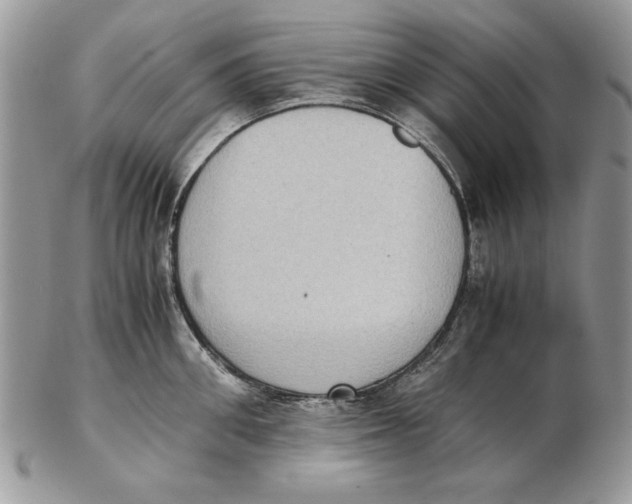 X0000102390906200808221822