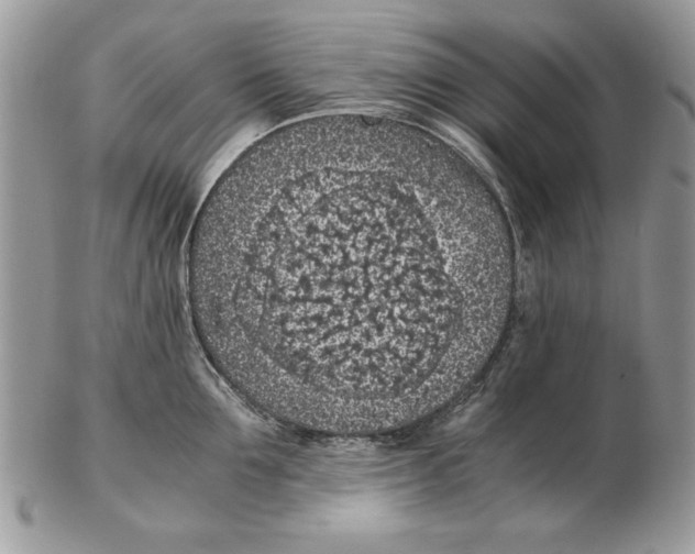 X0000102390907200808221822