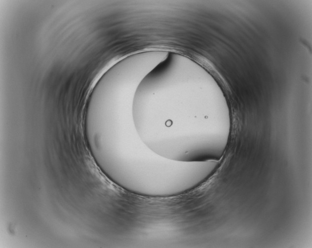 X0000102390908200808221822