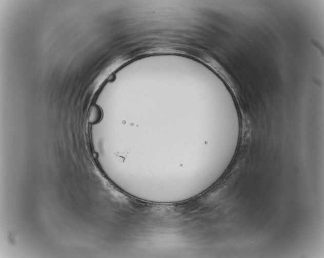 X0000102390909200808221822