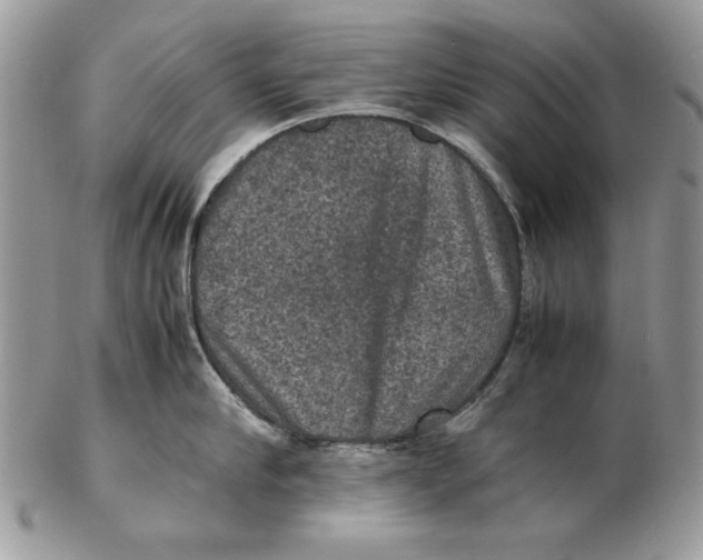 X0000102390910200808221822