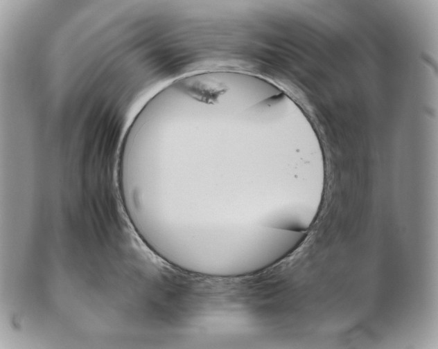 X0000102390912200808221822