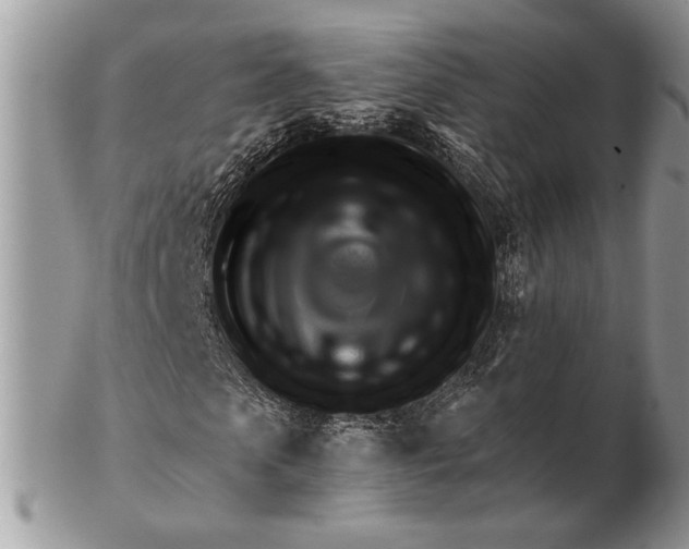 X0000102390913200808221821