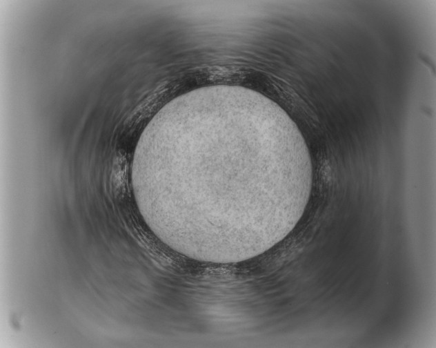 X0000102390914200808221821