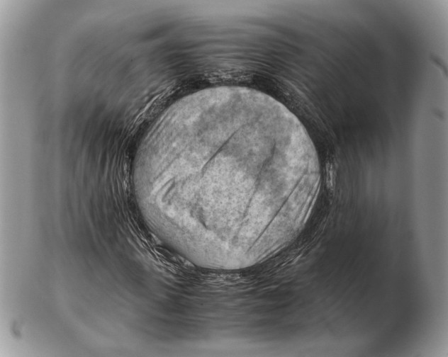 X0000102390915200808221821