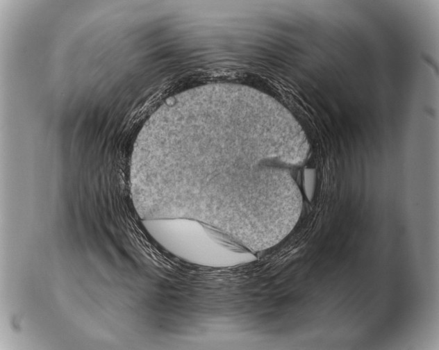 X0000102390916200808221821