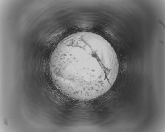 X0000102390917200808221821