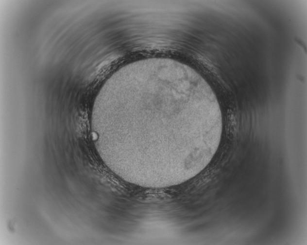 X0000102390918200808221821