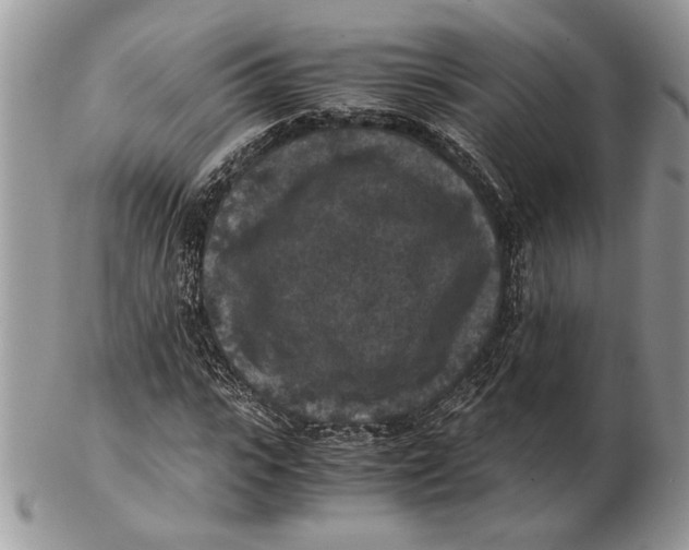 X0000102390919200808221821