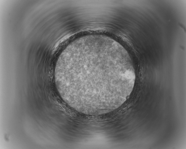 X0000102390920200808221821