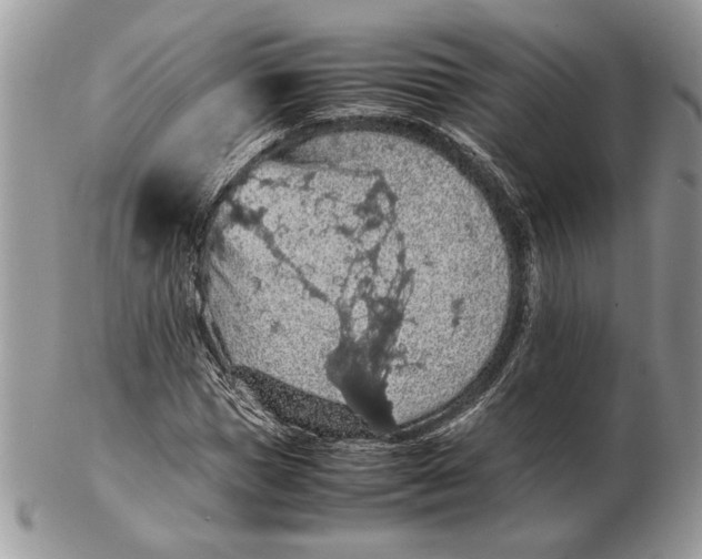 X0000102390921200808221821