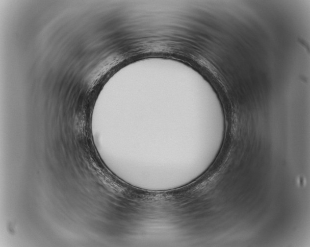 X0000102390922200808221821