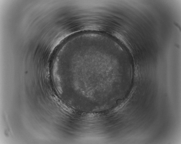 X0000102390923200808221821