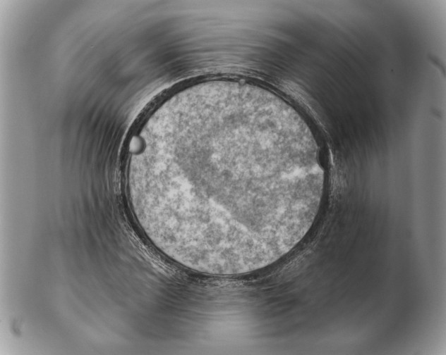 X0000102390924200808221821